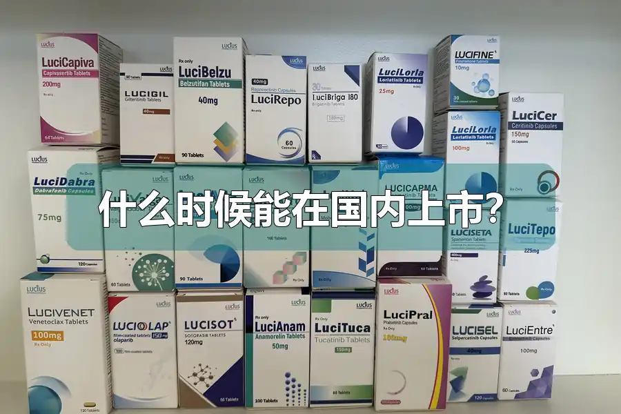 什么时候能在国内上市？