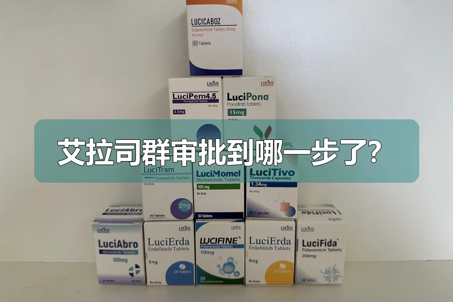 艾拉司群审批到哪一步了？